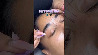 Eyebrow Mapping 📐 🧵 brows browlamination beauty eyebrow [upl. by Hesler]