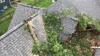 Storm damage in Earlham [upl. by Schindler298]