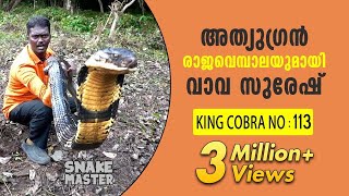 Wow 13 feet long 113th King Cobra rescued  Vava Suresh  Snake Master  Latest episode [upl. by Elenahc601]