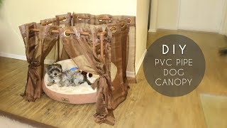 DIY PVC Pipe Dog Canopy [upl. by Ardnaeel]