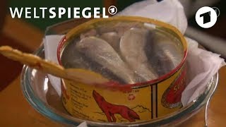 Surströmming der schwedische Gammelfisch [upl. by Bouley]