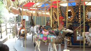 Merry Go Round Knoxville Zoo [upl. by Phillipe923]