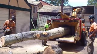 Awesome Huge Wood Sawmill Machines Working In Factory  Hull Oakes Lumber Company 24 [upl. by Yendis]