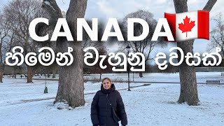 Canada 🇨🇦  හිමෙන් වැහුනු දවසක රවුමක් ❄️  25000 Subscribers canada sinhala srilankan hamilton [upl. by Elletsyrc]