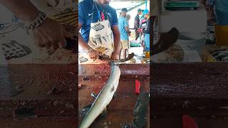 Unbelievable fish cutting skill  Amazing fish cutting skill 😱 shorts fish [upl. by Rehttam57]