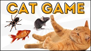 TOP 3 najlepsze gry dla kota 🎮 Pająk I Rybki I Mysz 🕷🐟🐭 CAT GAMES [upl. by Linder]