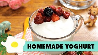 Resep Homemade Yoghurt [upl. by Hcra]