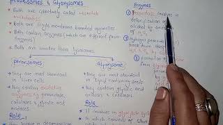 Peroxisomes  Glyoxysome  Federal amp KPK Board  Class 11 Biology [upl. by Slayton]