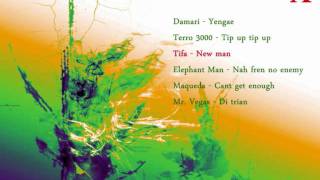 Mash Up Riddim Mix July 2009 [upl. by Ynaffad531]