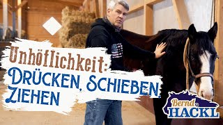 Warum das Pferd schiebt und drückt  Bernd Hackl erklärt 🐴 [upl. by Suhcnip]