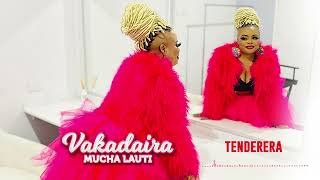 Mucha Lauti  Tenderera Official audio [upl. by Svetlana]