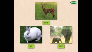 Geography Concept जीवावरण  The Biosphere 56 grade Marathi med [upl. by Ahsienod]