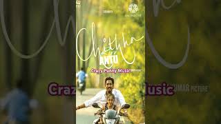 Prama jalapatham song chithha chinna shorts ytshorts youtubeshorts trending viralvideo [upl. by Anolahs]