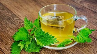 Drink A Glass Of Stinging Nettle Tea Every Day THIS Will Happen To Your Body [upl. by Mukund360]