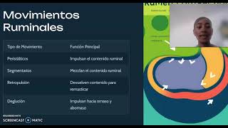 Fisiología del aparato gastrointestinal de los rumiantes [upl. by Ceevah]