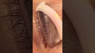 Impressive lash lift technique  Lash Flash [upl. by Ordway]