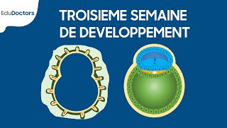 Troisième semaine de développement  Embryologie générale [upl. by Idna]