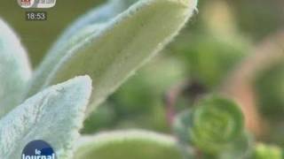 Chaumont prône la biodiversité heureuse [upl. by Shevlo]