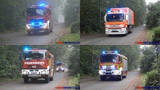 Große Waldbrandübung mit 8 Feuerwehren in MörfeldenWalldorf [upl. by Aitahs]