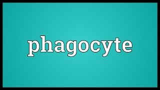 Phagocyte Meaning [upl. by Lose506]