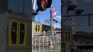 Sydney Oscar train arriving at Woonona station australia train nswtrainlink nswtrains [upl. by Kaliski]