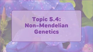 AP Biology  Topic 54 NonMendelian Inheritance [upl. by Niki73]