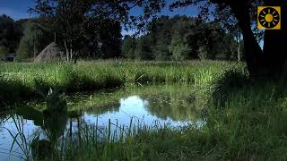 SPREEWALD  das quotknackig  grüne Spreeparadiesquot Teil 3 LübbenSchlepzigSpreewälder Gurken [upl. by Shivers702]