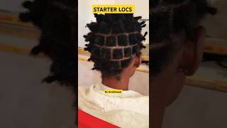 STARTER LOCS FOR SHORT HAIR stylezakubanadread shortsfeed dreadstyles kubanadread braids viral [upl. by Adnalohs]