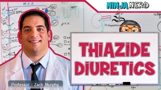 Thiazide Diuretics  Mechanism of Action Indications Adverse Reactions Contraindications [upl. by Madalyn]