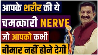 Body Healing Techniques Never Fall Sick Again करो ACTIVATE अपनी इस जादुई NERVE को  Ram Verma [upl. by Bogusz]