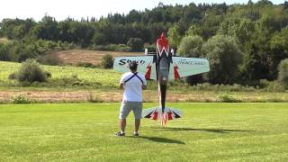 SBACH 342 2600mm PILOT  DLA 112 Beautiful 3D Flight By Roberto Ceccacci [upl. by Ylatan]