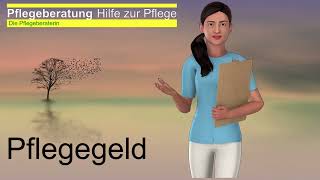 Pflegegeld [upl. by Eliot]