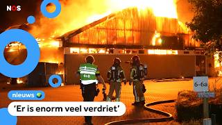 Paarden om het leven gekomen bij grote stalbrand in Zeewolde [upl. by Marrin282]