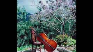 Edward Elgar  Cello Concerto in E minor Op 85 Mov III [upl. by Magnusson589]