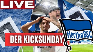 HSV 11 Hertha BSC HSV verschenkt 3 Punkte  HSV News  2Spieltag 2Liga  Der KICKSUNDAY [upl. by Akel236]