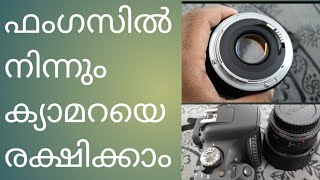 How to protect camera and lens from fungus  malayalam [upl. by Sixela]