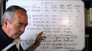 3ª sesion latin1ª y 2ª Declinacion y 1ª clase de adjetivos calificativos [upl. by Bulley]