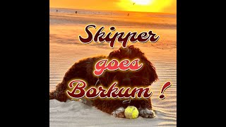 Skippy goes Borkum Pics [upl. by Rana235]