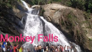 Monkey Falls 🐵PollachiAnandakavi [upl. by Ysdnyl]