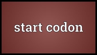 Start codon Meaning [upl. by Sutherlan916]