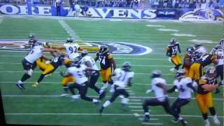 Hines Ward Gets Decked [upl. by Moria]