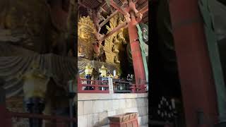 Todaiji Temple Nara Japan [upl. by Ayaladnot]