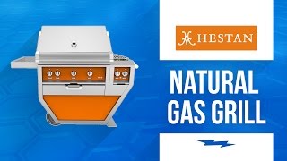 Hestan 54in Deluxe Natural Gas Grill With Double Side Burner [upl. by Eelytsirk]