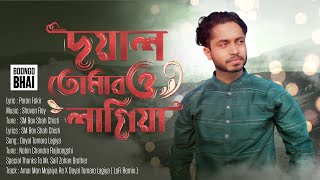 Amar Mon Mojaiya Re amp Doyal Tomaro Lagiya  LoFi Remix  Lyrics  banglasong banglafolksong [upl. by Bille]