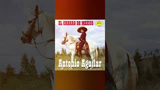 Caballo Prieto Azabache  Antonio Aguilar  A Diez Anos De Su Adios [upl. by Soisatsana]