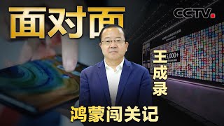 专访华为“鸿蒙之父”王成录，鸿蒙系统是如何诞生的？“纯血”原生鸿蒙有多酷？ CCTV「面对面」 [upl. by Aniakudo346]