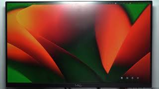 Dell 22 Monitor How To Reset Color Settings [upl. by Namyh]