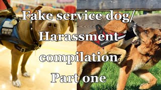 Fake Service dog and harassment compilation part 1 [upl. by O'Callaghan]