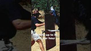 The Cassowary attack The Deadliest bird in the worldShortsfeed [upl. by Enenaej]