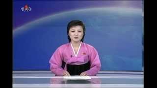 Evening news on North Korean TV April 7 2013 [upl. by Sivra]